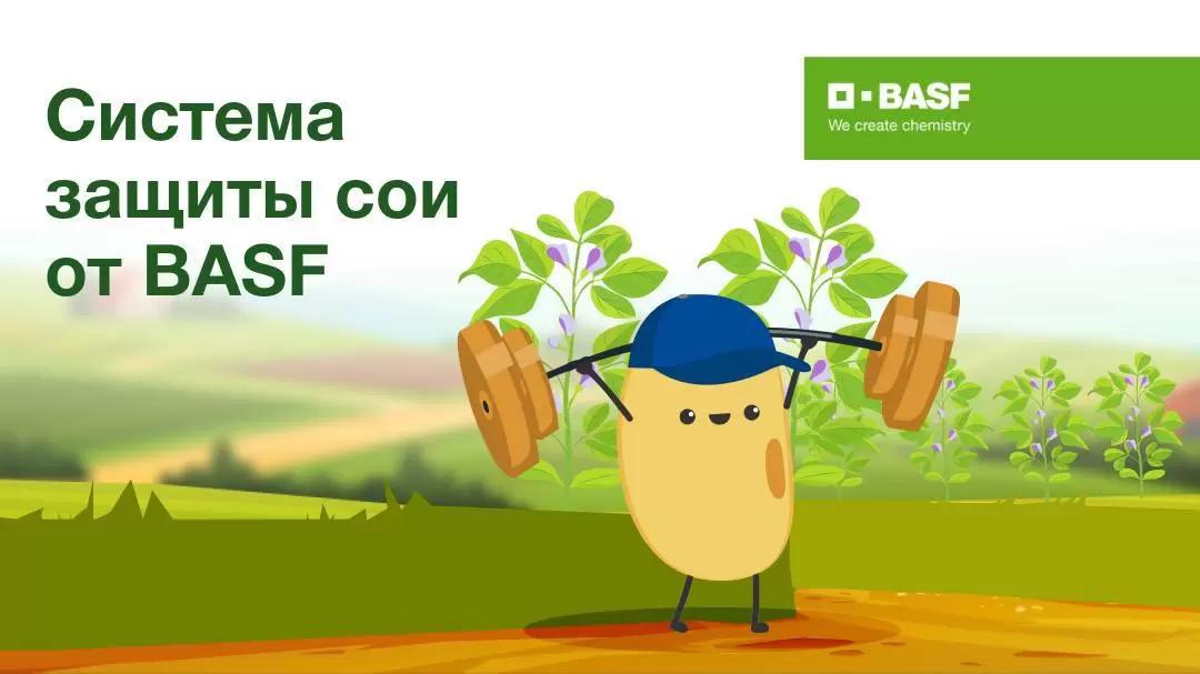 Как вырастить богатый урожай сои?