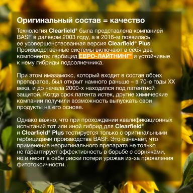 Секрет успеха