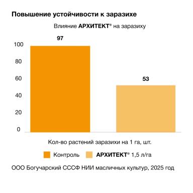Дополнительный элемент в борьбе с заразихой подсолнечниковой
