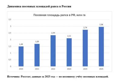 Листовые подкормки рапса препаратами «Агритекно»: технология урожайности