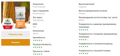 П 8521 - гибрид кукурузы Пионер