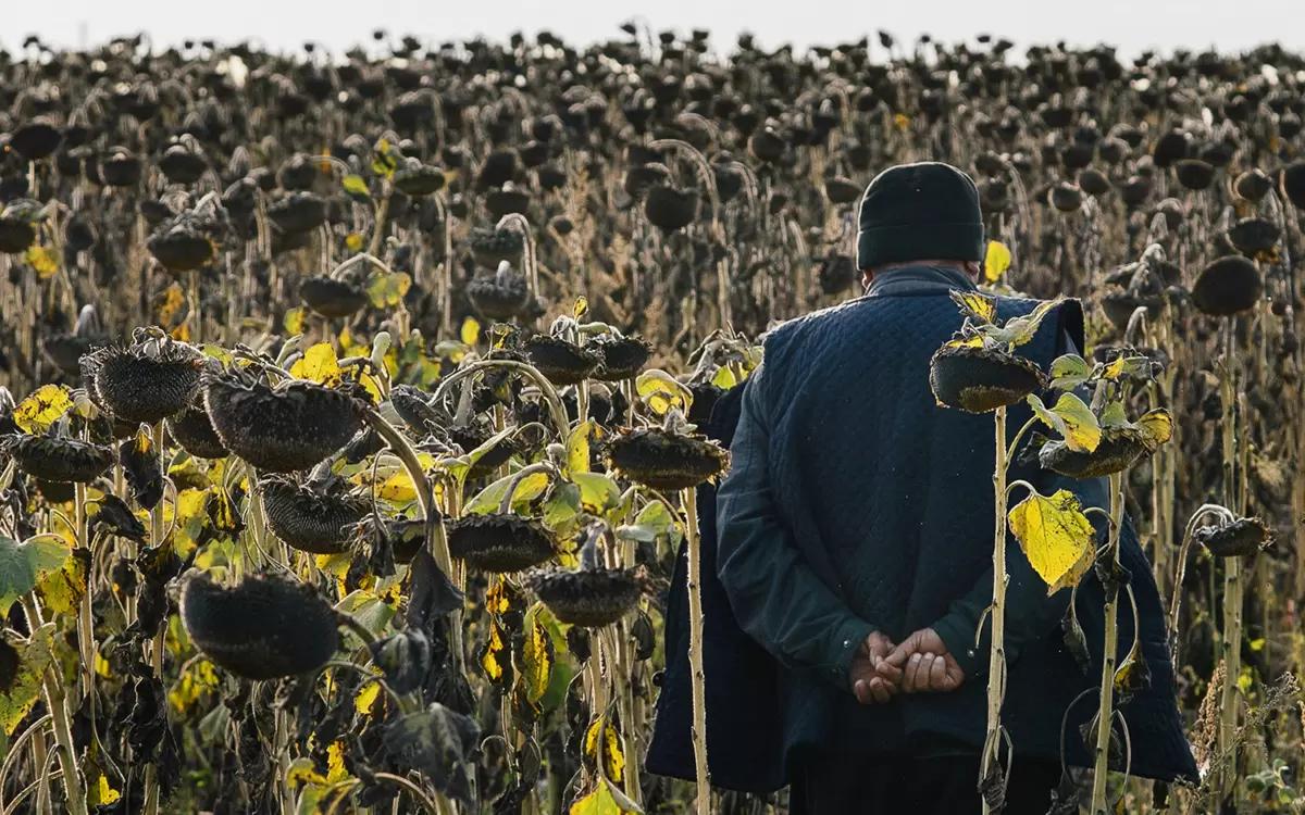 Кабмин России расширяет пилот по привлечению узбекских граждан на рынок труда РФ