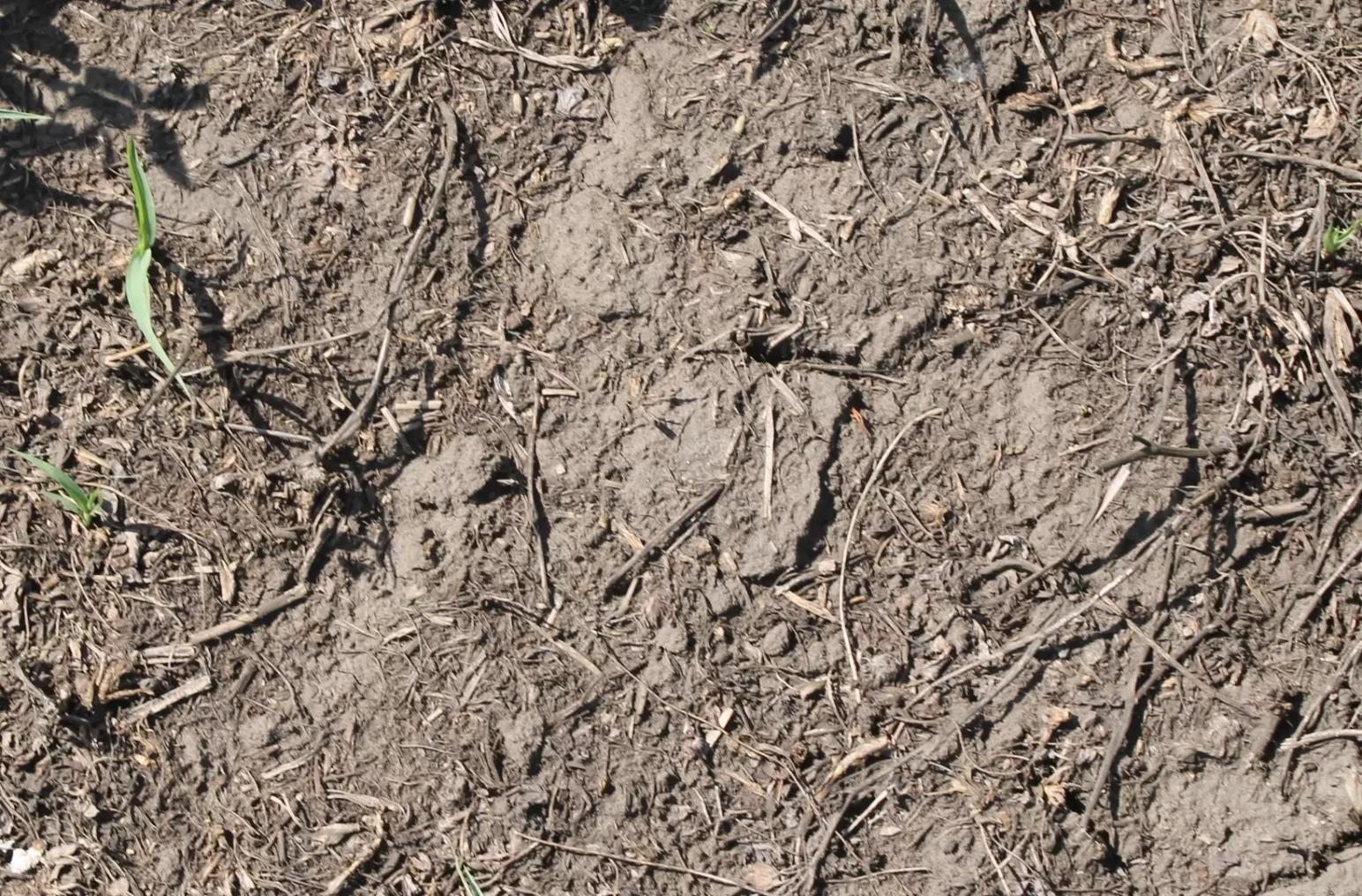 Гербициды для биоты  почвы –  пища или убийца?