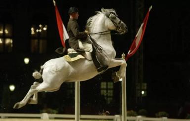 Липпицианская (липицианская, липизанская) порода