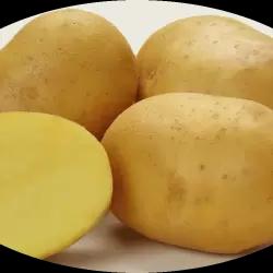 Лисана (Lisana)