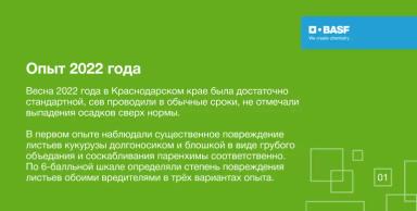 Эффективность ПОНЧО® против листогрызущих вредителей