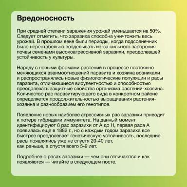Заразиха. Стоп!