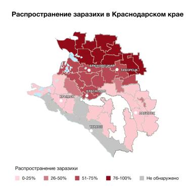 Заразиха в Краснодарском крае