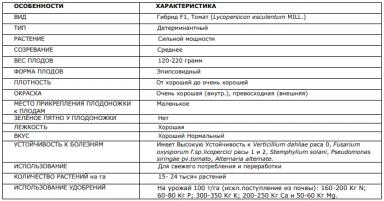 Индио F1 (INDIO)