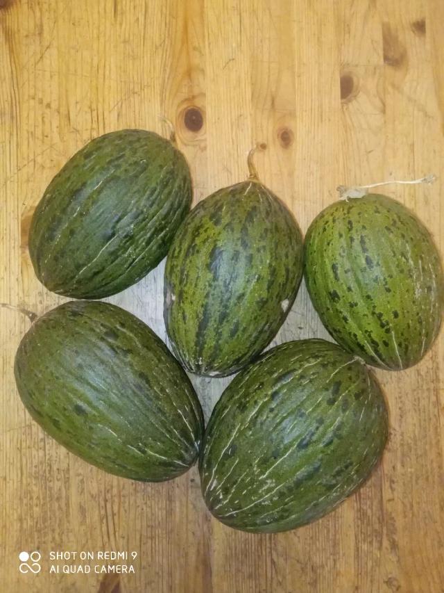 Пиель де Сапо или жабья кожа