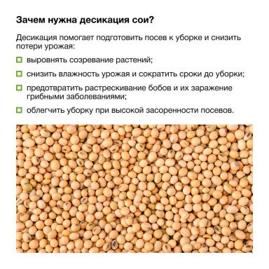 Соевый агрокалендарь: август