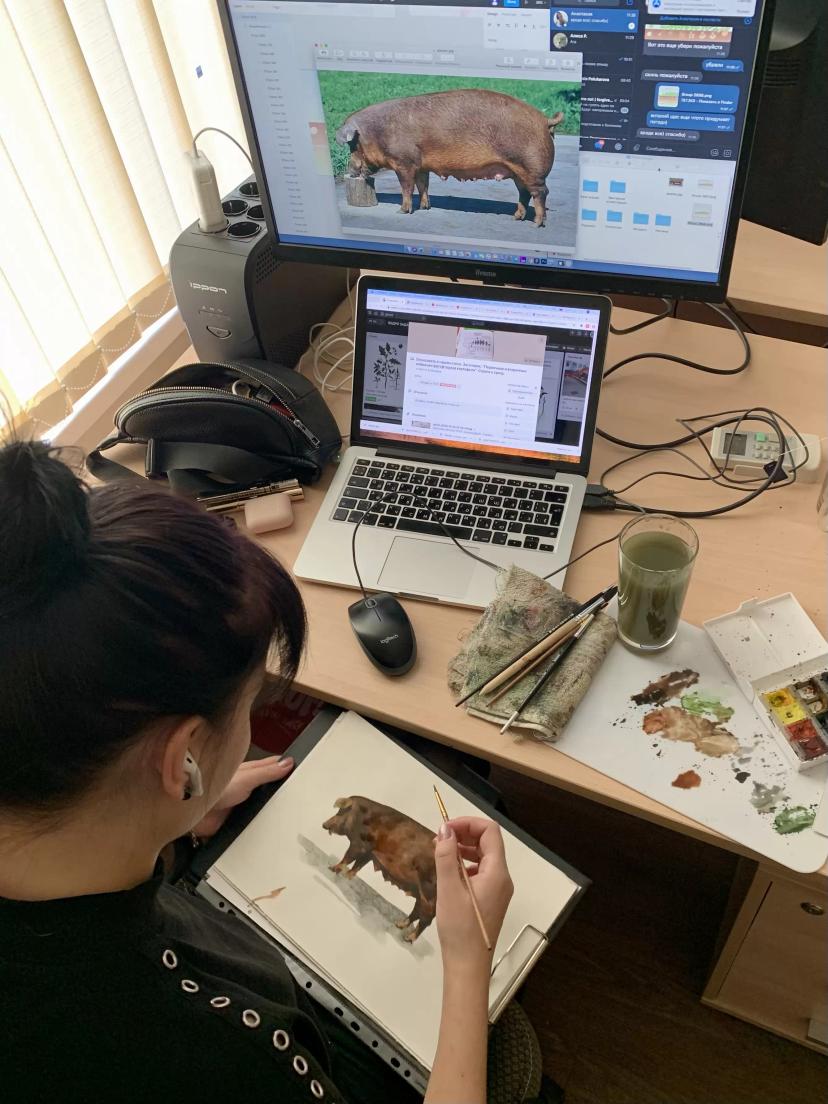 Создание иллюстрации для Базы знаний