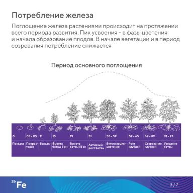 «Элементарно об элементах!»: железо