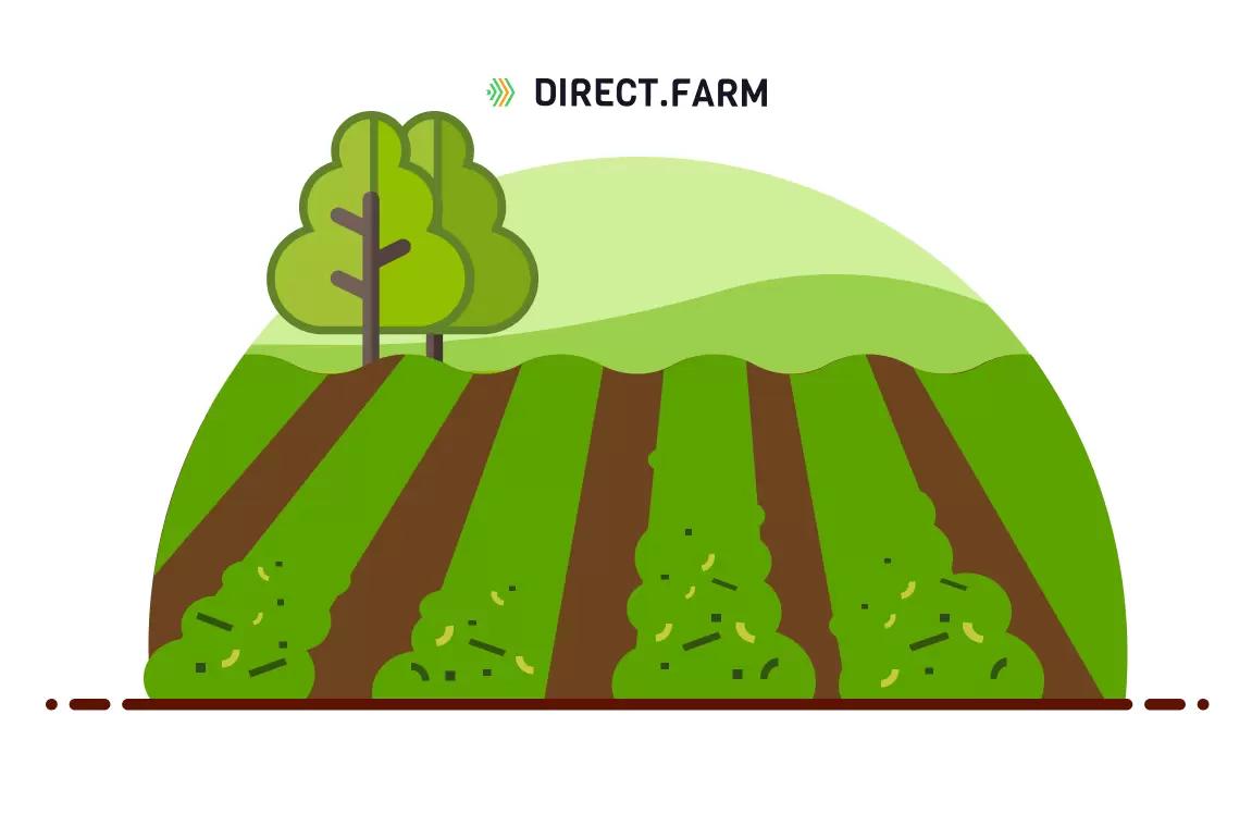 Как избежать потери сенажа при провяливании? 