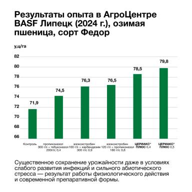 Что важно учитывать при применении фунгицидов?