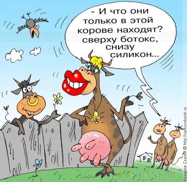 Новый признак в оценке быков