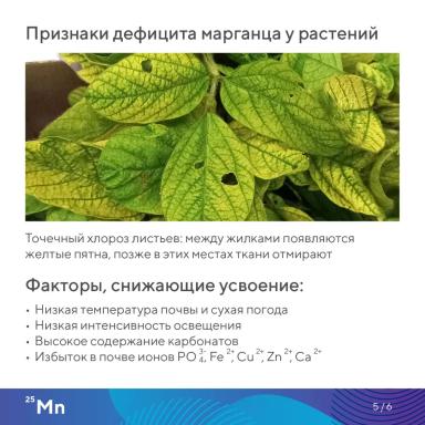 Элементарно об элементах: марганец