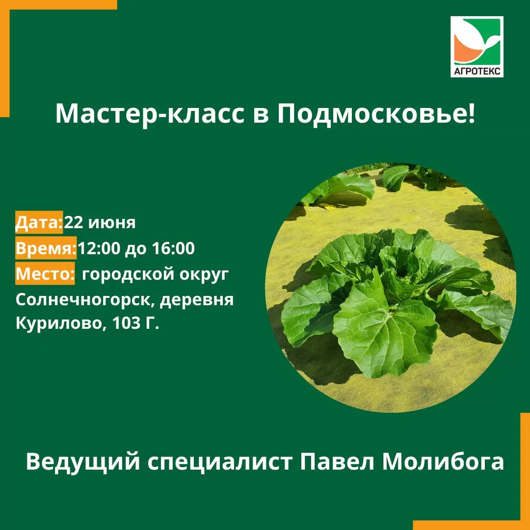 Мастер-класс в Московской области!