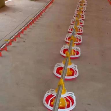 Asia Taren: Оборудование для современной птицефабрики