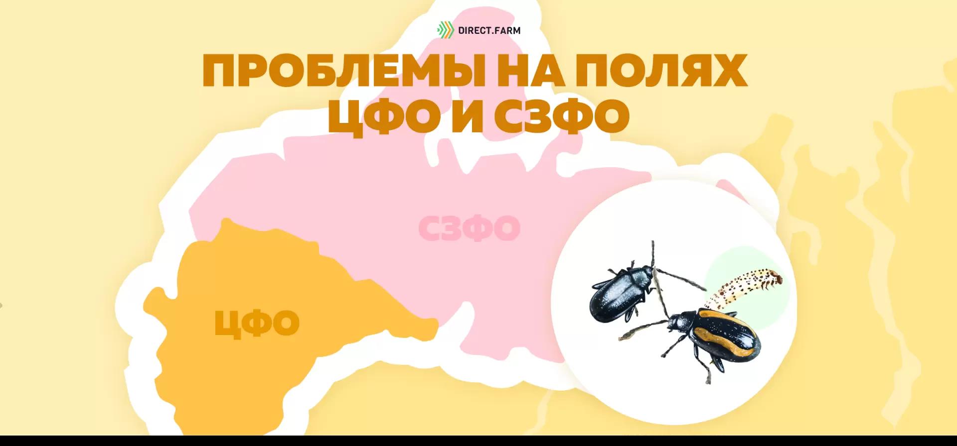 Угроза: Крестоцветные блошки