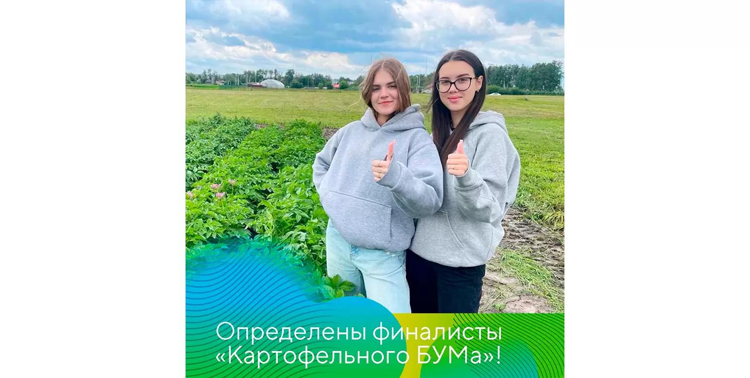 Названы финалисты «Картофельного БУМа»!