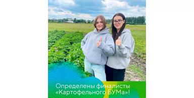 Названы финалисты «Картофельного БУМа»!