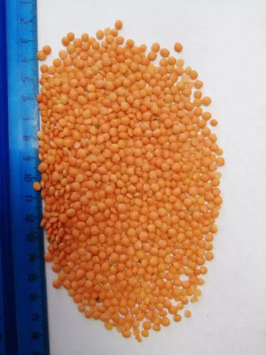 Закупаю крупным оптом крупы в мешках