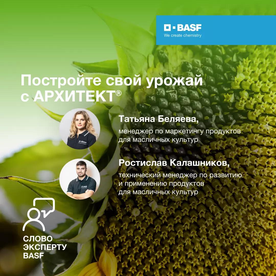 Подробная информация о компании BASF