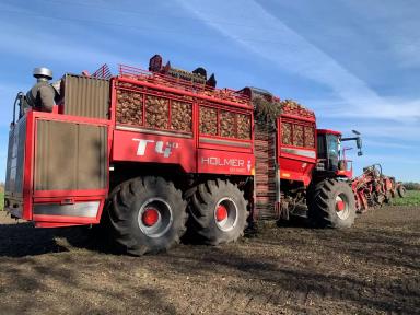 Точный сев - залог отличного урожая. Свеклоуборочный комбайн Holmer Terra Dos T4