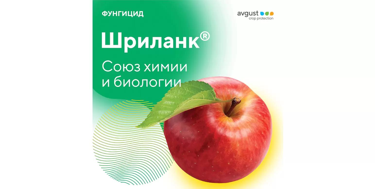 Что может Шриланк®?