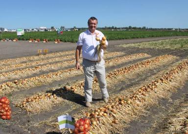 Хранение лука