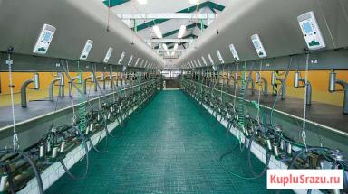 Доильный зал параллель GEA Westfalia