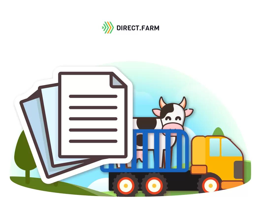 Как перевозить КРС?