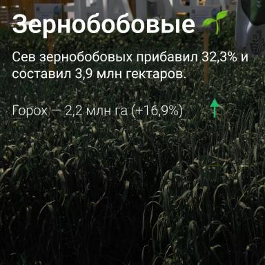 🗺️ Посевные площади в России сократились на 1,2%: данные Росстата