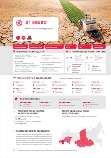 ЛГ 59580 (LG 59580) гибрид подсолнечника Лимагрейн