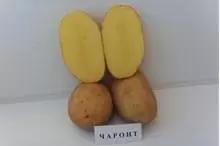 Чароит