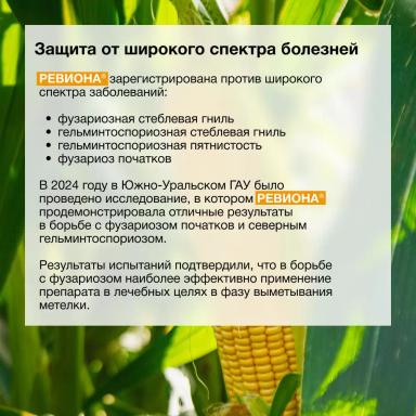 Первые результаты применения фунгицида РЕВИОНА®