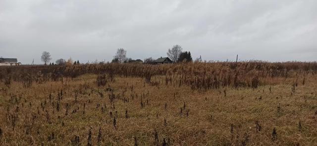 В поисках земли.