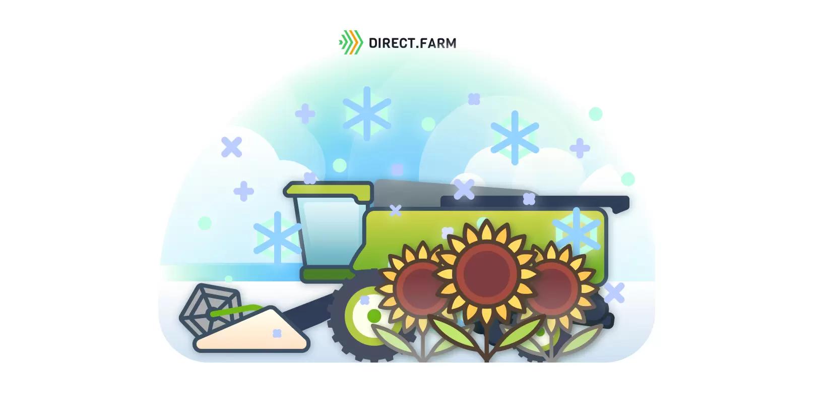 Уборка подсолнечника зимой