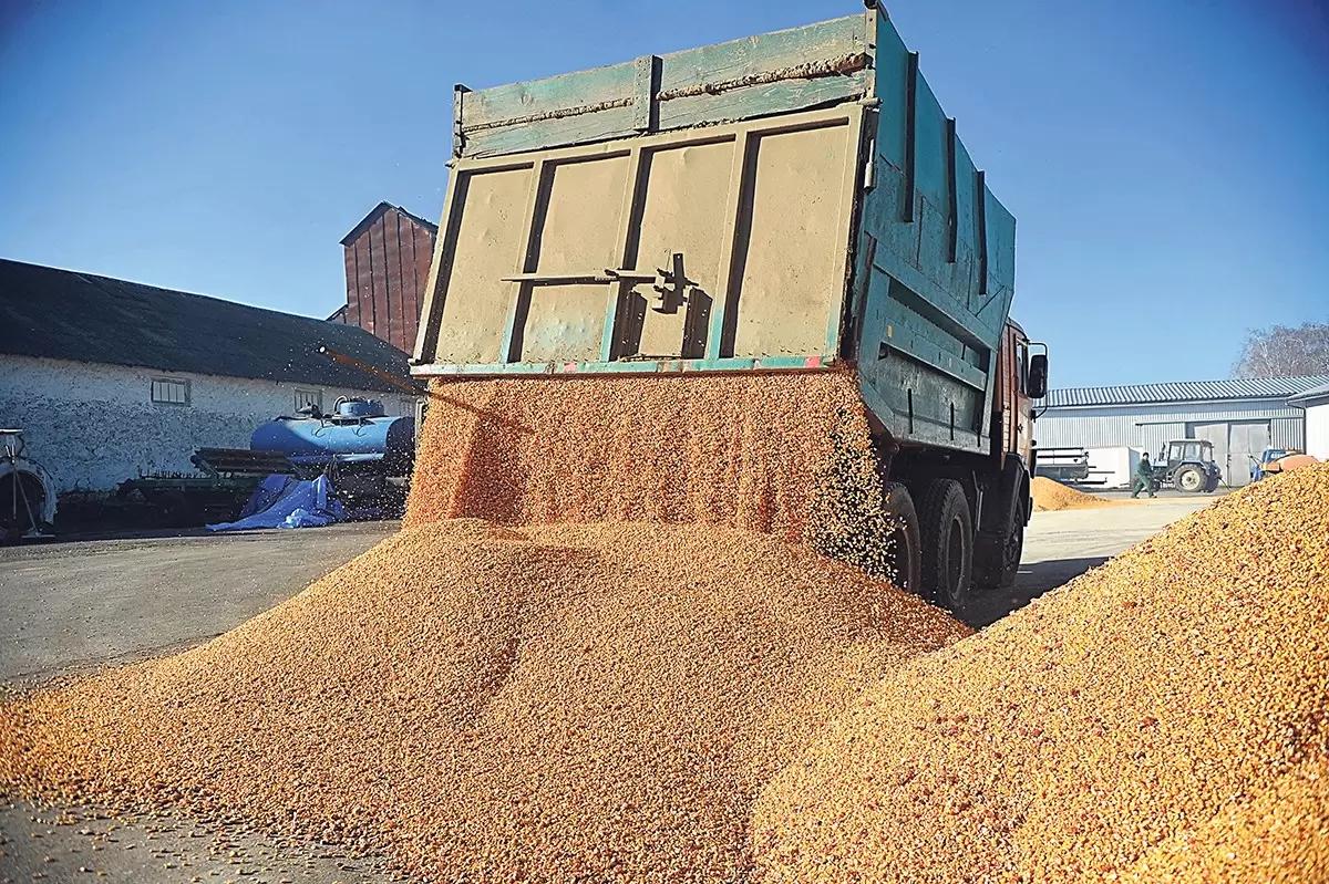 ЕС готовится взимать пошлину на импорт зерна из России и Беларуси