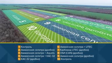 Минеральное питание на нулевой технологии No-Till (эксперимент)