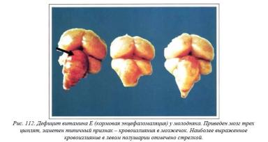 Вегад - Атлас болезней птицы. Ч. 21, 22. Дефициты витаминов А, Е