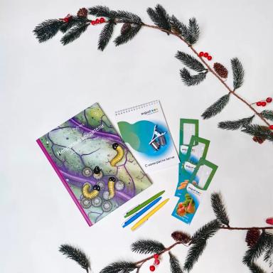 Разыгрываем новогодние призы от «Августа»!