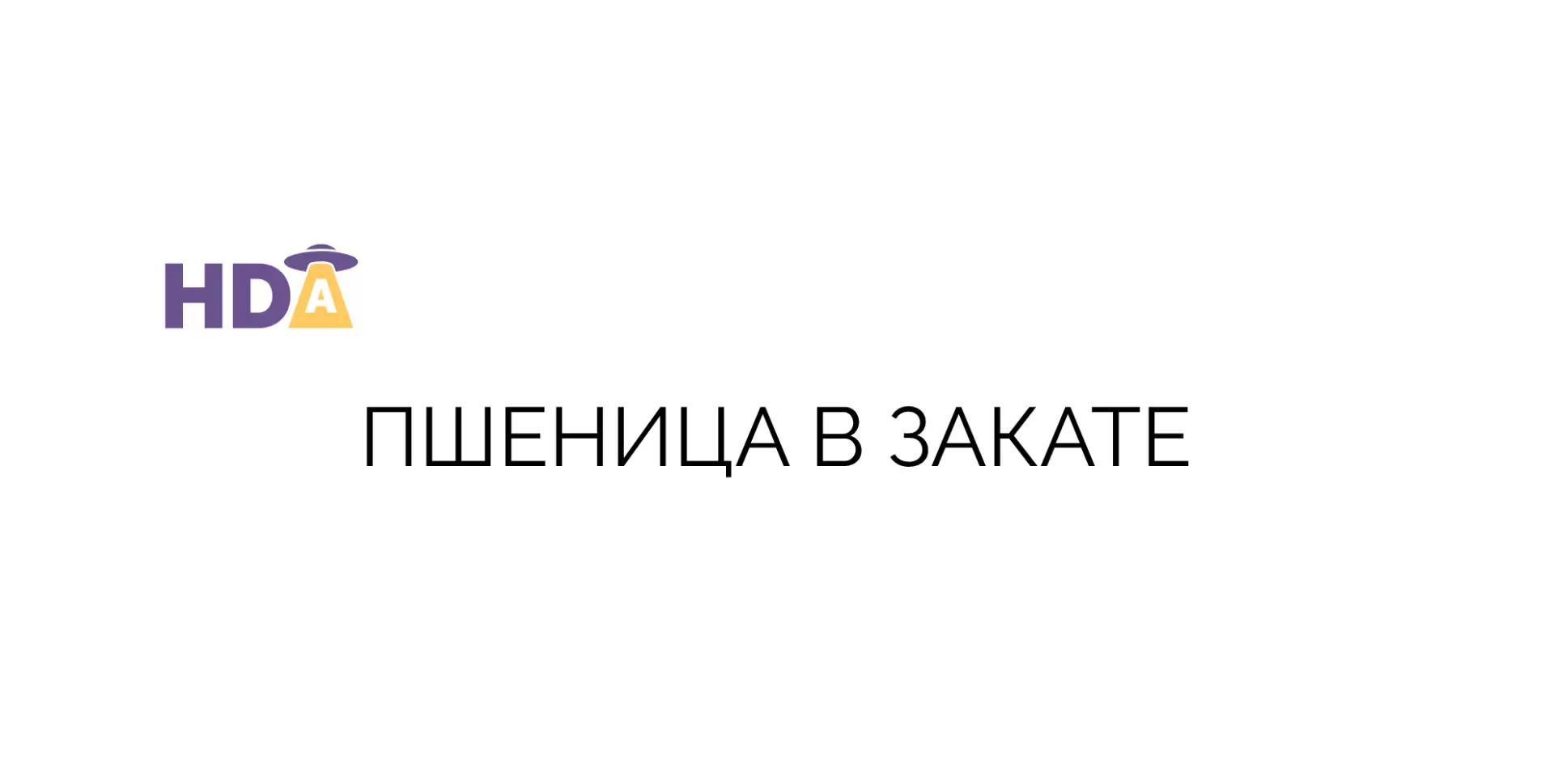 Пшеница в закате или как все началось