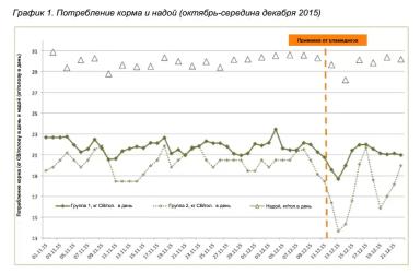 Слабые места в кормлении КРС