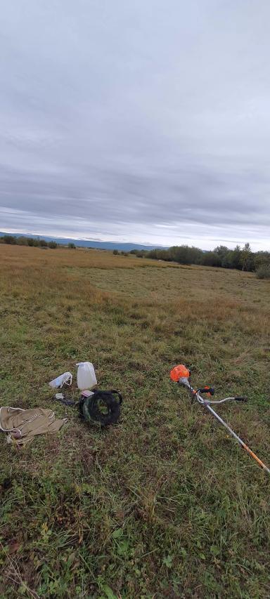 Сенокос на Болоте (Бурятия)