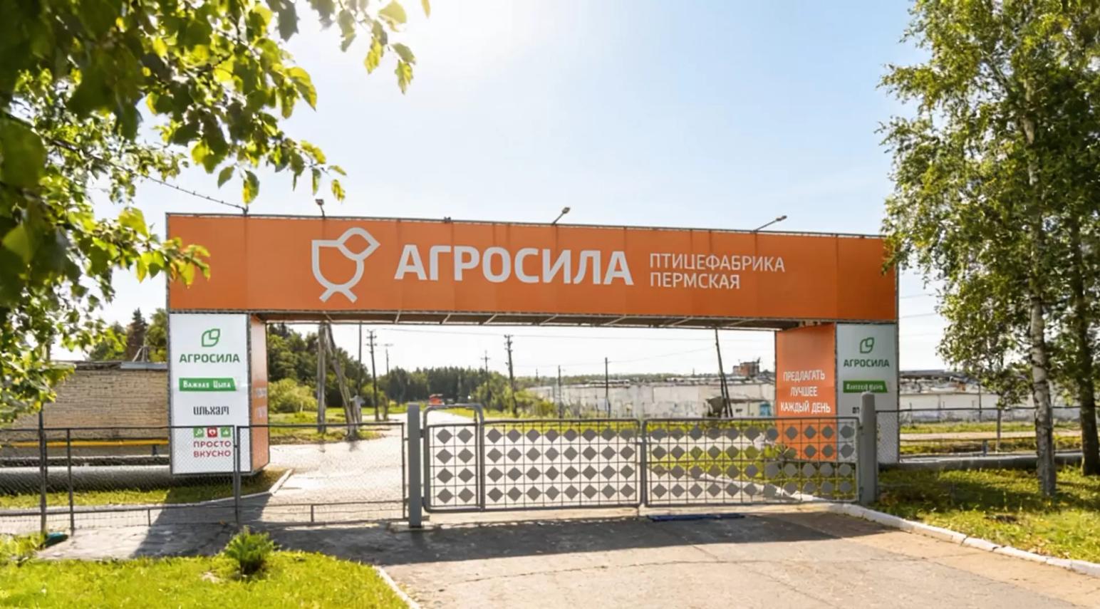 «АГРОСИЛА» расширяет бройлерное производство за счёт масштабных инвестиций