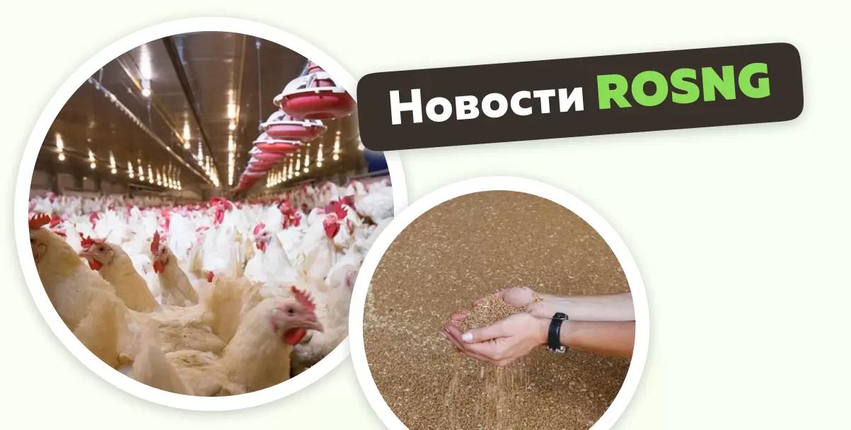 Обзор новостей за 12 января