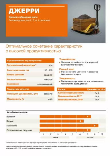 Джерри (JERRY)