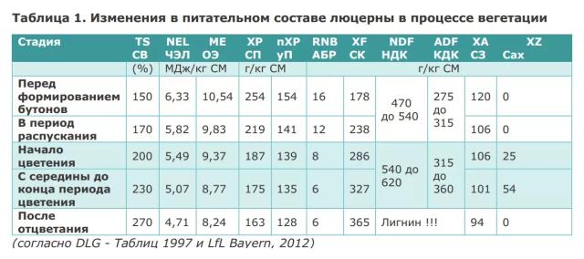 Питательная ценность люцерны и правила ее применения